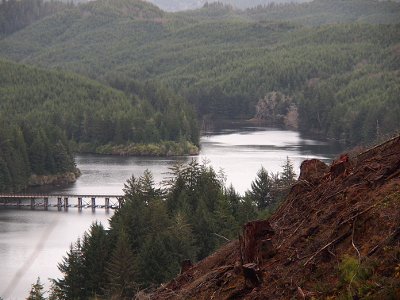 [A jagged-edge section of the lake goes from the foreground to the background. The near hillside across from the arm partially obscures the right side shores of this arm of the lake. All edges of the lake are surrounded by tall evergreens.]